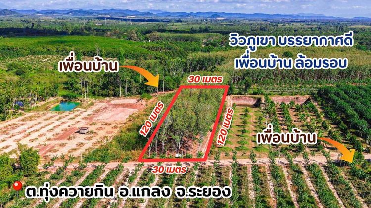 ที่ดินสวนยางพารา วิวเขา ทำเลดี ติดถนนคอนกรีต รูปที่ 2
