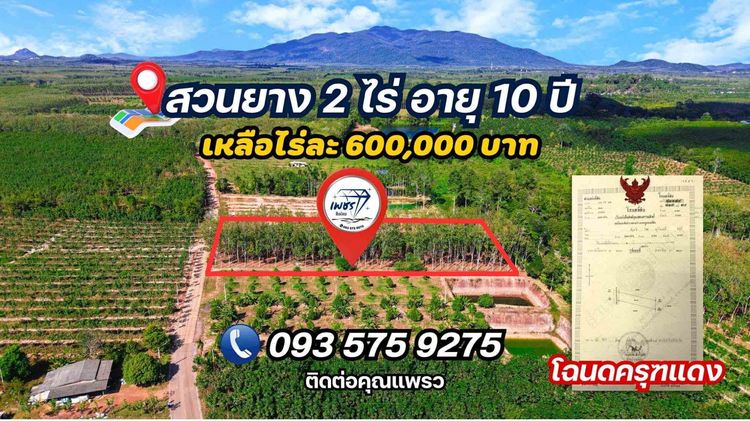ที่ดินสวนยางพารา วิวเขา ทำเลดี ติดถนนคอนกรีต