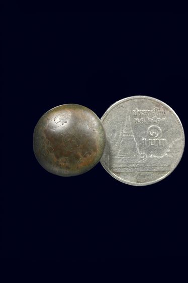 เม็ดกระดุมเนื้อเมฆสิทธิ์ รูปที่ 2