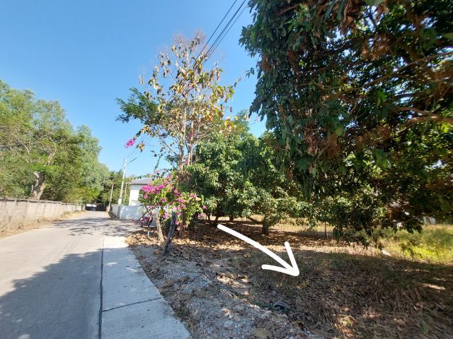 ใช่ สวนลำไย ใกล้โรงเรียน รูปที่ 2