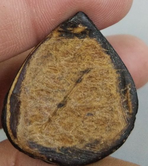 3038-กะลาแกะพระราหูเก่า ไม่ทราบที่ รูปที่ 7