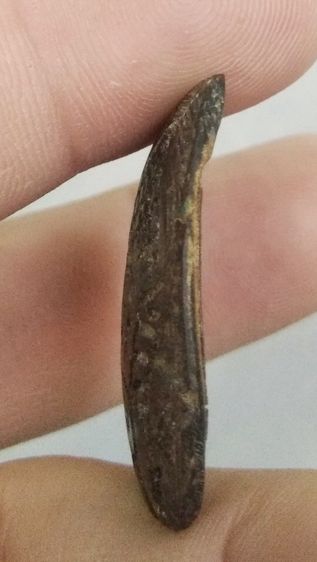 3038-กะลาแกะพระราหูเก่า ไม่ทราบที่ รูปที่ 6