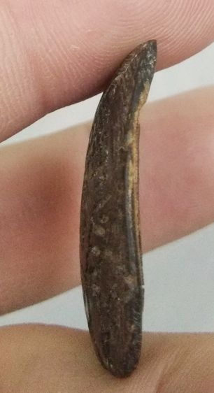 3038-กะลาแกะพระราหูเก่า ไม่ทราบที่ รูปที่ 13