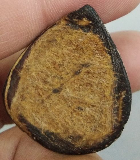 3038-กะลาแกะพระราหูเก่า ไม่ทราบที่ รูปที่ 11