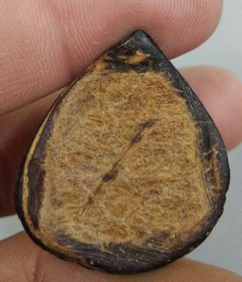 3038-กะลาแกะพระราหูเก่า ไม่ทราบที่ รูปที่ 5