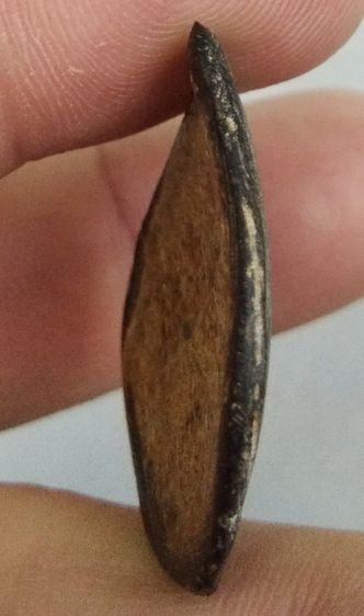 3038-กะลาแกะพระราหูเก่า ไม่ทราบที่ รูปที่ 9