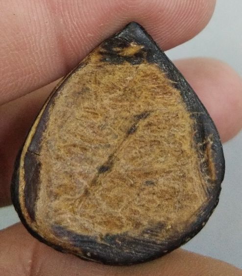 3038-กะลาแกะพระราหูเก่า ไม่ทราบที่ รูปที่ 2