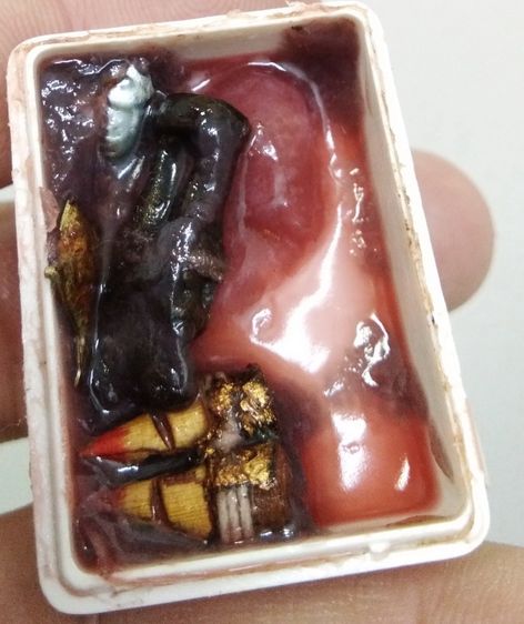 3055-สีผึ้งยอดสเน่หา ครูบาวัง วัดบ้านเด่น จ.ตาก ฝังอิ้นคู่ สาริกา และตะเพียนเงินตะเพียนทอง รูปที่ 7