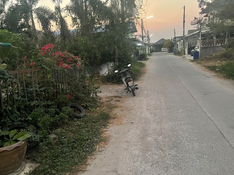 ที่ดิน รูปที่ 3