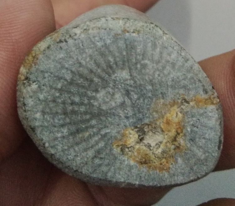 3063-เครื่องรางมหาอุตตม์ คตเขาสัตว์กลายเป็นหิน ของดี สำหรับพกติดตัว เป็นมหาอุตตม์ โชคลาภ ป้องกันคุณไสย ลมเพลมพัด ป้องกันภูตผีปีศาจดีนักแลฯ ย