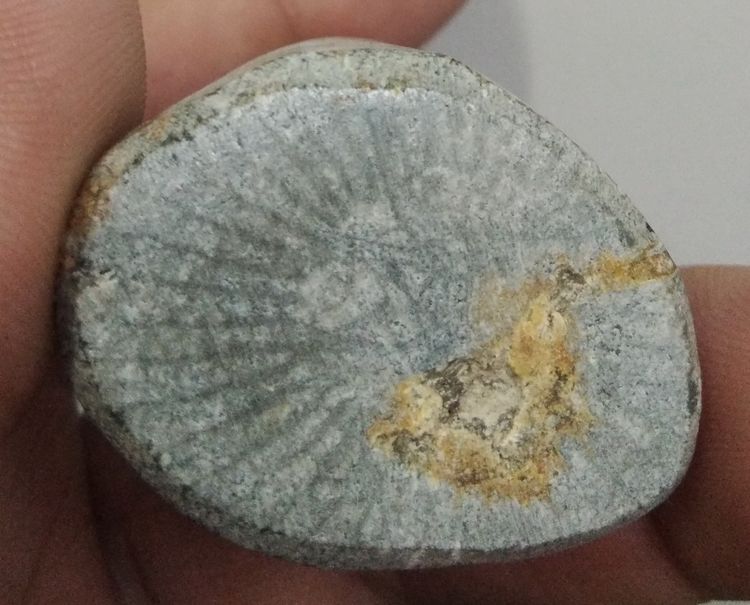 3063-เครื่องรางมหาอุตตม์ คตเขาสัตว์กลายเป็นหิน ของดี สำหรับพกติดตัว เป็นมหาอุตตม์ โชคลาภ ป้องกันคุณไสย ลมเพลมพัด ป้องกันภูตผีปีศาจดีนักแลฯ ย รูปที่ 13