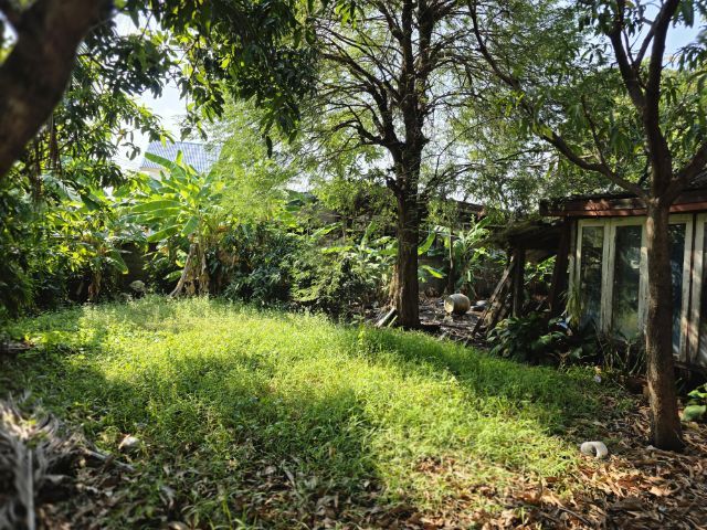 ใช่ ขายที่ดินซอยทานสัมฤทธิ์ รูปที่ 4