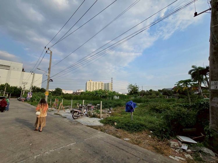 ขายด่วนที่ดินหลังเดอะมอลล์งามวงศ์วาน 460 ตรว ติดถนนคอนกรีตสาธารณะ 2 ด้าน ซ.งามวงศ์วาน 18 เมืองนนทบุรี รูปที่ 3