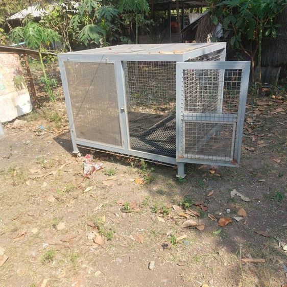 กรงหมา รูปที่ 2