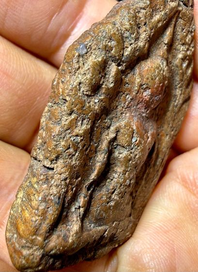 พระขุดเเผนทรงพลใหญ่ วัดบ้านกราง สุพรรณบุรี เนื้อเก่าๆ ตามกาลเวลา พระเก่าๆเหมาๆบ้านๆ พระคนแก่เก่าๆเก็บ081-3330446 L.tonyabu รูปที่ 13