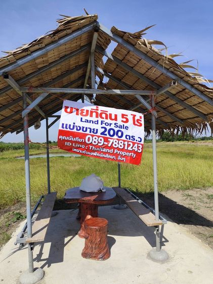 ขายตุ๊กตาหมีใหญ่ใจดี  และซื้อแล้วไม่รับเปลี่ยนคืน และอื่นๆ รูปที่ 9