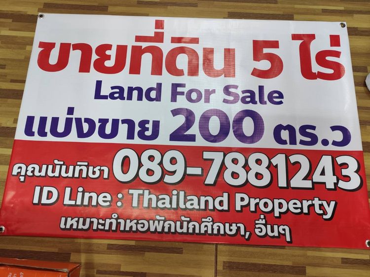 ขายตุ๊กตาหมีใหญ่ใจดี  และซื้อแล้วไม่รับเปลี่ยนคืน และอื่นๆ รูปที่ 6