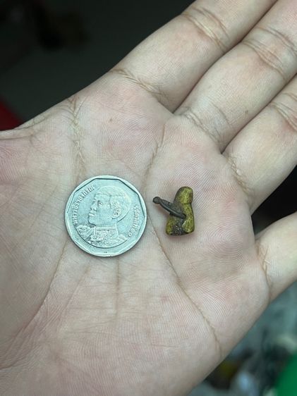 เสือไม่ทราบที่(มีสินค้าหลายรายการกดเข้ามาดูในโปรไฟล์ได้เลยครับ) รูปที่ 6