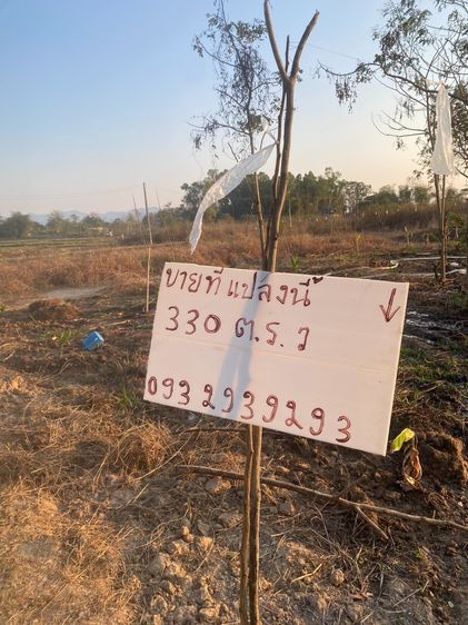 ขายที่ดิน 330 ตารางวา บ้านหม้อ ต.ห้วยทราย อ.สันกําแพง รูปที่ 2