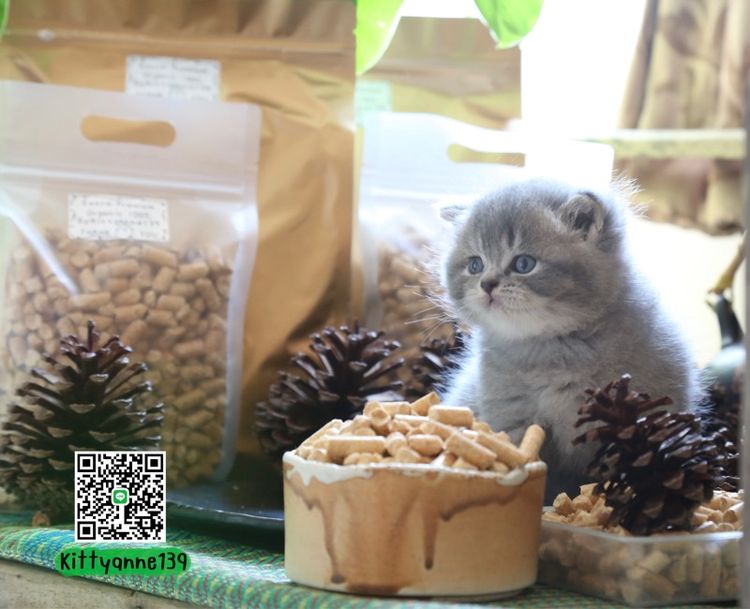 ทรายแมวไม้สนอัดแท่งเหมาะสำหรับสัตว์เลี้ยงทุกชนิด รูปที่ 12