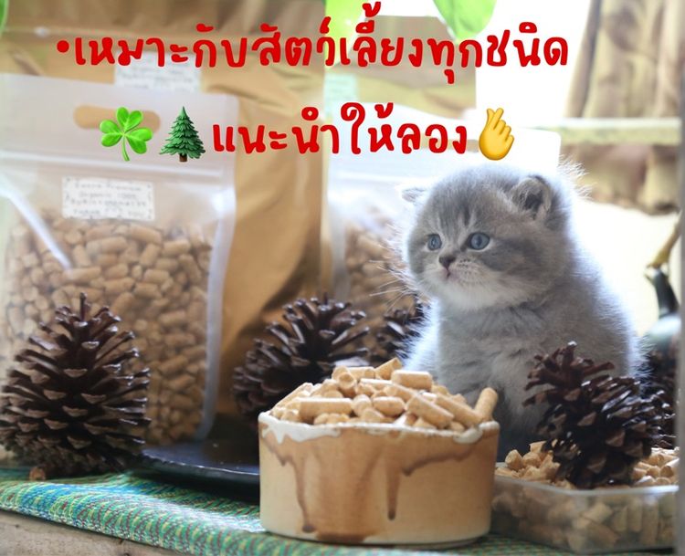 ทรายแมวไม้สนอัดแท่งเหมาะสำหรับสัตว์เลี้ยงทุกชนิด รูปที่ 4