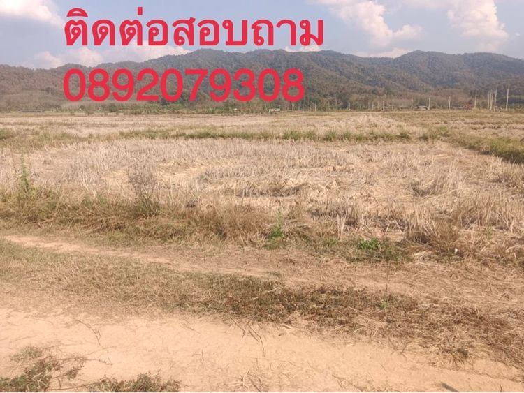 ใช่ ขายที่นา รูปที่ 3