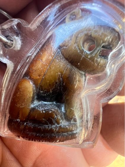 เสือหลวงพ่อปาน รูปที่ 4