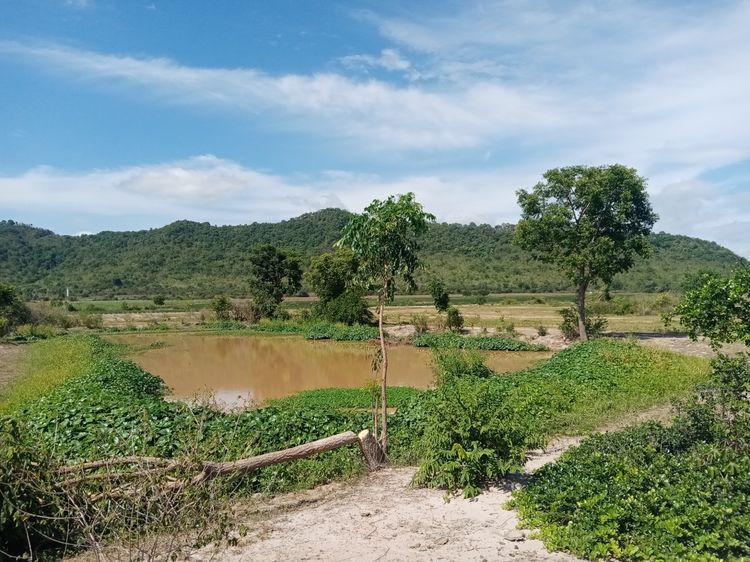 ขายถูกเพียงไร่ละ 190,000 ที่ดิน60ไร่ กาญจนบุรี อ.ท่าม่วง โฉนดครุฑแดง เชิงเขา ติดห้วย น้ำไฟพร้อม ถนนลาดยาง ใกล้กทม.แค่1ชม.กว่า ยกแปลง11ล้าน+ รูปที่ 3