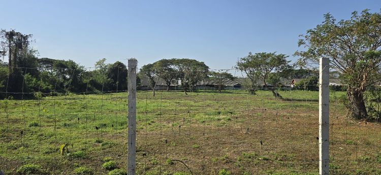 ใช่ ขายถูกที่ดินต่ำกว่าราคาประเมิน รูปที่ 2