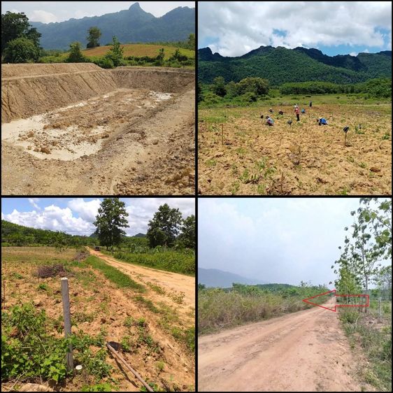 ที่ดินโฉนด ครุฑแดง พร้อมโอน 13ไร่ แบ่งได้2-3ไร่ หมู่1 ต.ห้วยเขย่ง อ.ทองผาภูมิ จ.กาญจนบุรี ขายเพียงไร่ละ 250,000 วิวเชิงเขา ขุดสระไว้ให้แล้ว รูปที่ 2