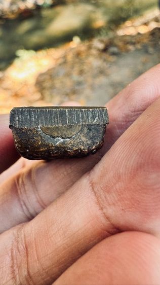 หลวงปู่ทวดพิมพ์ปั้มซ้ำ รูปที่ 3