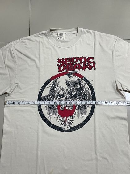 เสื้อวง SEPTIC DEATH รูปที่ 8