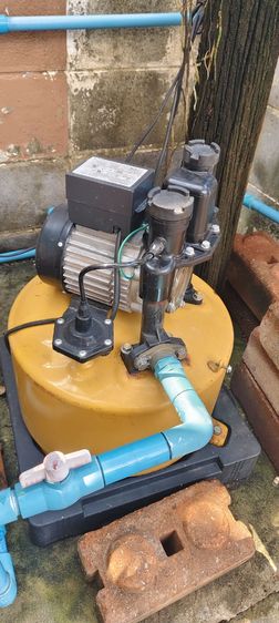 ปํ๊มนํ้ามิซู 305 รูปที่ 2