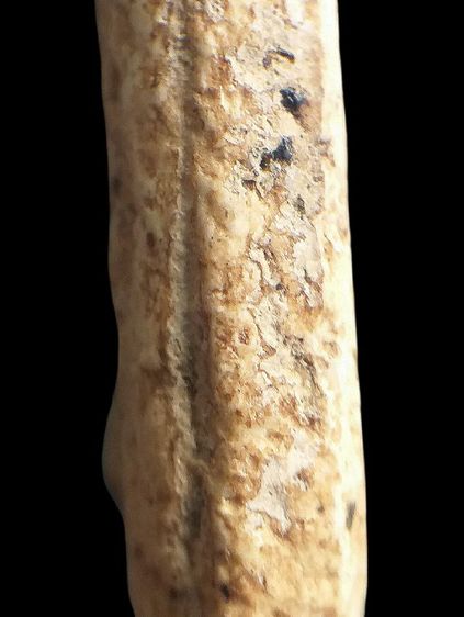 วัดระฆังฯ พิมพ์ชาวบ้าน. รูปที่ 18