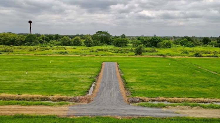 ด่วนๆที่ดินเงินผ่อนมาแล้ว คลอง9 ผ่อนเดือนละ 8พัน รูปที่ 4