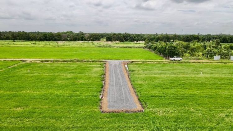 ด่วนๆที่ดินเงินผ่อนมาแล้ว คลอง9 ผ่อนเดือนละ 8พัน รูปที่ 2