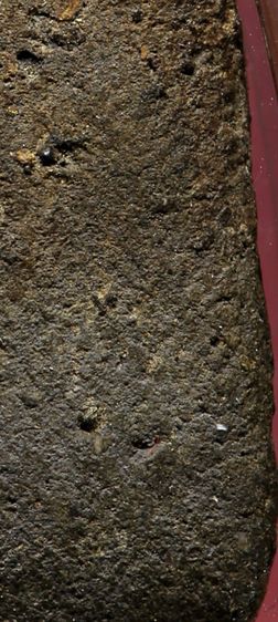 หลวงปู่ทวด รูปที่ 8