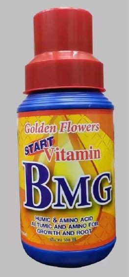 วิตามินBMG ขนาด 500 ซีซี.เรียกราก แตกราก เร่งราก แตกรากดี​กระตุ้นการเติบโติบโตของพืช กระตุ้นการดูดปุ๋ย​และสารอาหารได้เต็มที่ รูปที่ 2