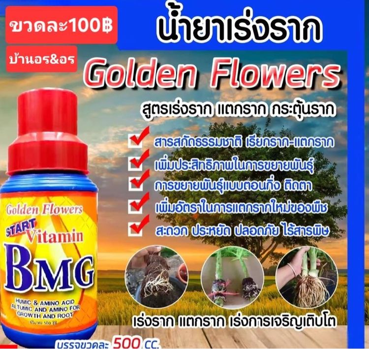 วิตามินBMG ขนาด 500 ซีซี.เรียกราก แตกราก เร่งราก แตกรากดี​กระตุ้นการเติบโติบโตของพืช กระตุ้นการดูดปุ๋ย​และสารอาหารได้เต็มที่