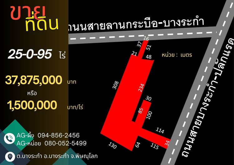 ที่ดินบางระกำ พิษณุโลก 25-0-95 ไร่ ติดถนนหลวงถึง 2 ด้าน (ถนน 1065, 1281) โอกาสทองที่ไม่ควรพลาด