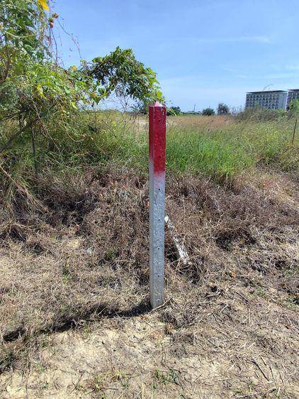 Vacant land for sale natural view can be subdivided or purchased as a whole (5-9 rai). Suitable for building a house etc Nakhon Pathom รูปที่ 3