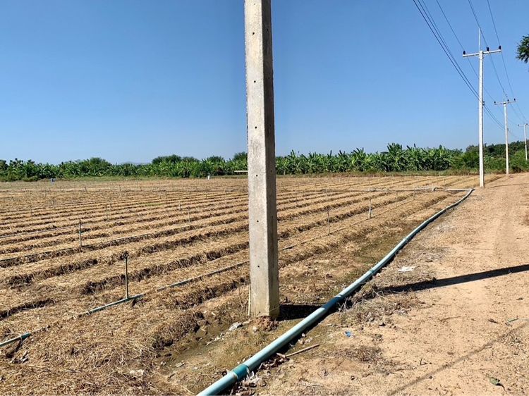 ที่ดินผืนใหญ่ทำเลดี10ไร่ โฉนดครุฑแดงพร้อมโอน ใกล้เทศบาลวังศาลา เข้าออกได้หลายทาง ติดถนนสาธารณะ ใกล้ทางด่วนM81 วิวสวย บรรยากาศดี รูปที่ 3