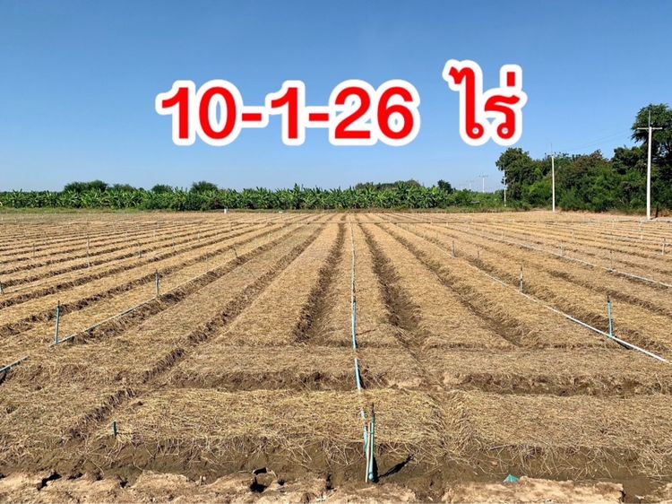 ที่ดินผืนใหญ่ทำเลดี10ไร่ โฉนดครุฑแดงพร้อมโอน ใกล้เทศบาลวังศาลา เข้าออกได้หลายทาง ติดถนนสาธารณะ ใกล้ทางด่วนM81 วิวสวย บรรยากาศดี รูปที่ 2