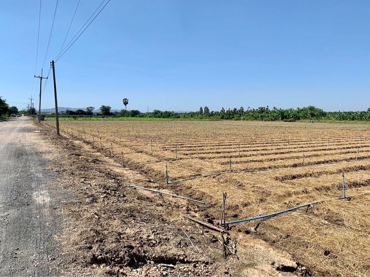 ที่ดินผืนใหญ่ทำเลดี10ไร่ โฉนดครุฑแดงพร้อมโอน ใกล้เทศบาลวังศาลา เข้าออกได้หลายทาง ติดถนนสาธารณะ ใกล้ทางด่วนM81 วิวสวย บรรยากาศดี