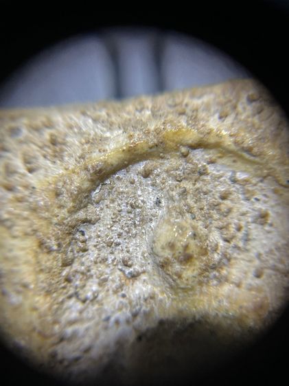 สมเด็จไม่ทราบที่ครับ รูปที่ 8