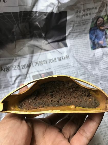 พระบูชาเนื้อทองสำริดหน้าตักสามนิ้วสูง7นิ้ว รูปที่ 3