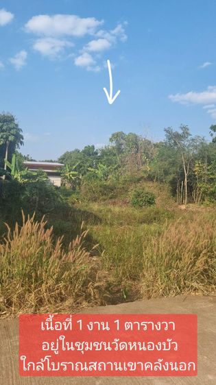 ที่ดินในชุมชน น้ำไฟพร้อม ติดถนนคอนกรีต ใกล้อุทยานประวัติศาสตร์ศรีเทพ รูปที่ 2
