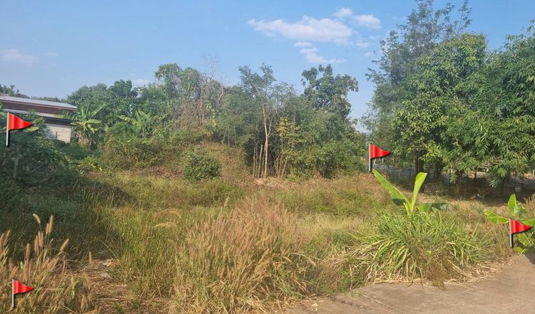 ที่ดินในชุมชน น้ำไฟพร้อม ติดถนนคอนกรีต ใกล้อุทยานประวัติศาสตร์ศรีเทพ