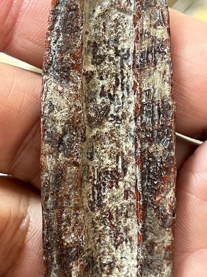 พระกรุ พระร่วงสุโขทัย รูปที่ 6