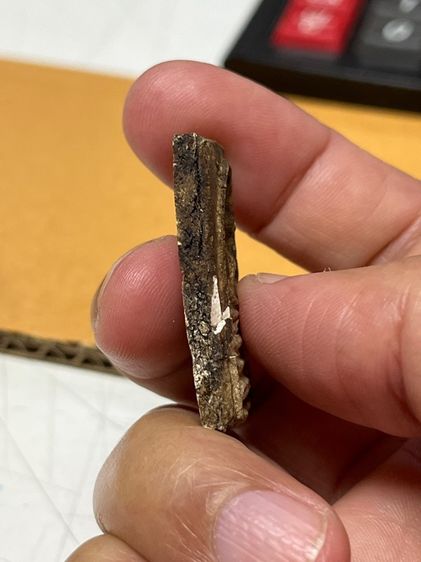 สมเด็จไม่ทราบที่ รูปที่ 6